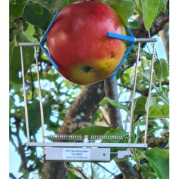 DF4 Fruit and Vegetable Dendrometer