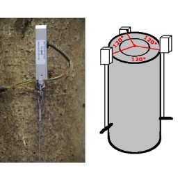 DV- Dendrómetro vertical