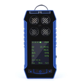 BH-4S Portable Multi-gas Detector