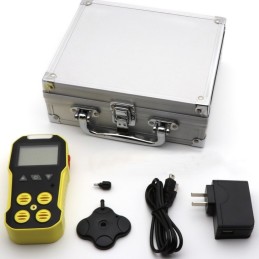 BH-4A Portable Multi Gas Detector MYJ