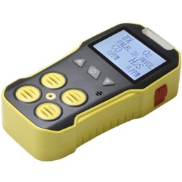 BH-4A Portable Multi Gas Detector MYJ