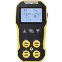 BH-4A Portable Multi Gas Detector MYJ