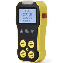 BH-4A Portable Multi Gas Detector MYJ