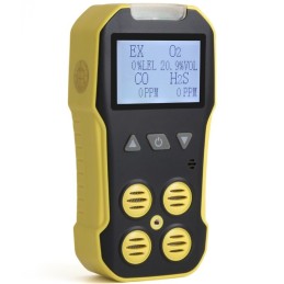 BH-4A Portable Multi Gas Detector MYJ