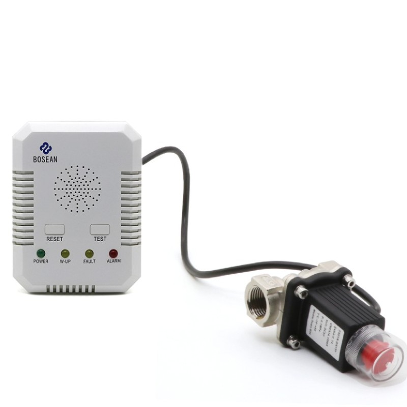 BH-H3 Gas Alarm With Shut off Valve