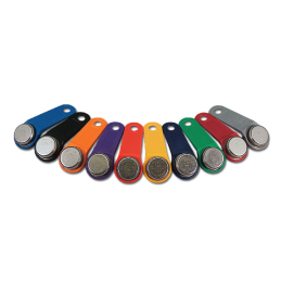 Porta-chaves iButton (oliva) Porta-chaves iButton montado com iButton DS1990