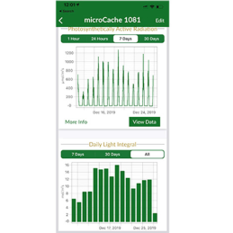 PQ-100X Pacote MicroCache e X Quantum originais com cabo de 30 cm