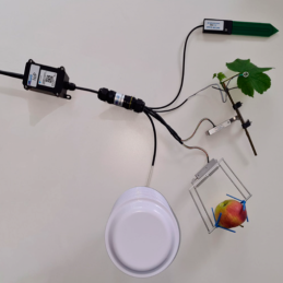 EM-14 Sensor analógico de temperatura (T) e humidade relativa (HR) T/R