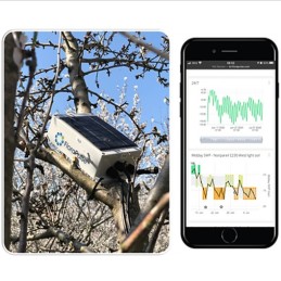 FloraPulse | Plant-based irrigation sensors