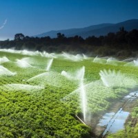 IRRIGATION AND WATER